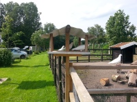 2016-06-28 15.59.43.jpg